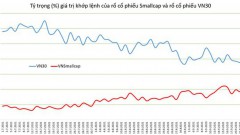 Investors witness bullish wave on speculative stocks