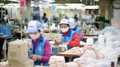 Efforts made to protect interests of Vietnamese products in EU market