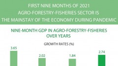 Agro-forestry-fisheries - the mainstay of the economy