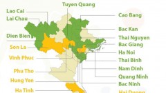 Implementing Resolution on safe, flexible adaptation with COVID-19