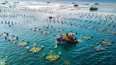 Project on marine aquaculture development till 2030 approved