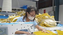 The private economy cannot overcome the FDI sector