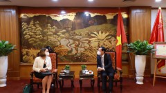 Vietnam, Australia Promote Business Ties in New Context