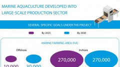 Marine aquaculture developed into large-scale production sector