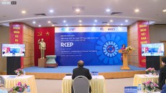Businesses equipped with knowledge about RCEP