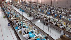 Trade cooperation – momentum of Vietnam-US ties