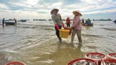 Solutions for&nbsp;sustainable marine farming