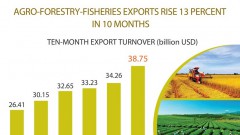 Agro-forestry-fisheries exports up over 13 percent in 10 months