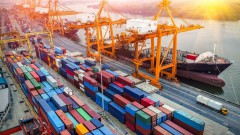 Export remains stable and healthy