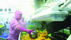 New regulations on China's import and export management: Understand well to avoid export disruptions