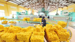 VN Rubber Association promoting certification grant toward building brand name