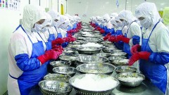 Enterprises recover, seafood exports in October increase by nearly 50%