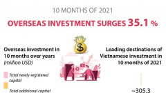 Vietnamese investment abroad rises 35.1 percent in ten months