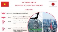 Vietnam-Japan extensive strategic partnership