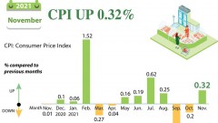 November CPI up 0.32 percent
