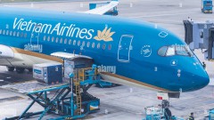 Air cargo terminals: Solid earnings growth despite the pandemic