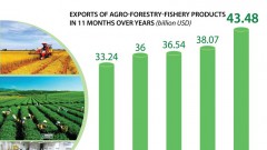 Export turnover of agro-forestry-fishery products tops 43 billion USD