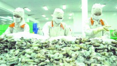 Overcoming non-tariff barriers to expand agricultural and fishery exports to Russia