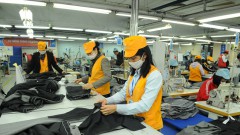 Government urged to kickstart stimulus program in early 2022