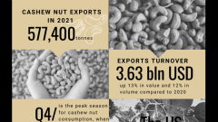 Vietnam's cashew nut exports pick up despite COVID-19