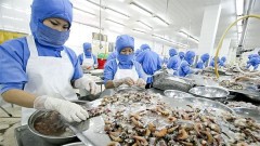 Seafood sector striving to boost exports