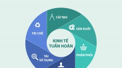 Initiatives application for circular economy