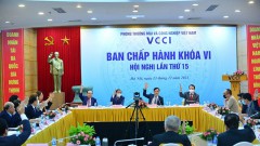 VCCI’s new vision and mission