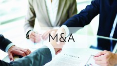 M&A in Vietnam not exclusively for foreign businesses