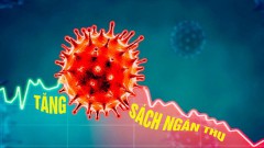 Budget revenue has exceeded estimate