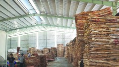 Controlling the risk of importing wood from China