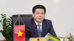 Businesses urged to actively seize opportunities in new context