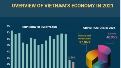(Interactive) Overview of Vietnam's economy in 2021