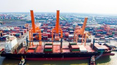 Container fleet needs to be upgraded to keep growth momentum