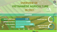 (Interactive) Overview of Vietnamese agriculture in 2021