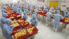Vietnam looking to expand export to Eurasian market