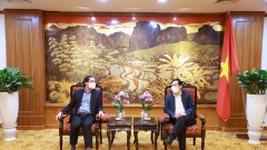 VCCI Strengthens Support for Lao Cai Province in Improving Business Environment