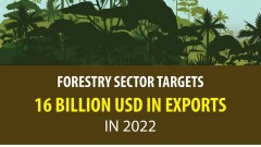 Forestry sector targets 16 billion USD in exports in 2022