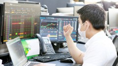 Stock market expected to continue to flourish in 2022