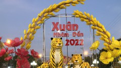 Tiger in Vietnamese folk and contemporary notions