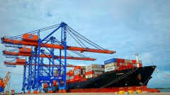 Marine transportation to see a bright outlook in 2022 