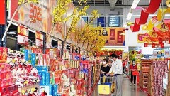 VAT reduction will reduce pressure on price level after Lunar New Year