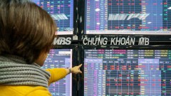 F0 investors need guidance from professionals