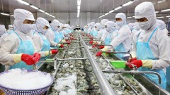 Ample space for Vietnam to boost exports to US: experts