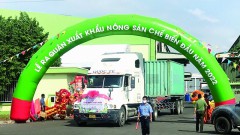 Export of agricultural products prospered at the beginning of the year