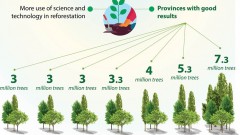 Vietnam plants 1 billion trees to go green