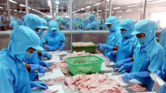 Seafood stocks expected to grow in 2022 on bullish outlook