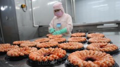 Big room for&nbsp;shrimp industry to increase exports: VASEP