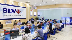 Law on bad debt settlement urgently needed: experts