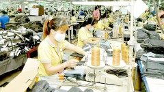 Vietnam facing technical barriers to trade on its way of economic recovery