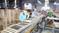 Vietnam enjoys 87 percent growth in agricultural trade surplus